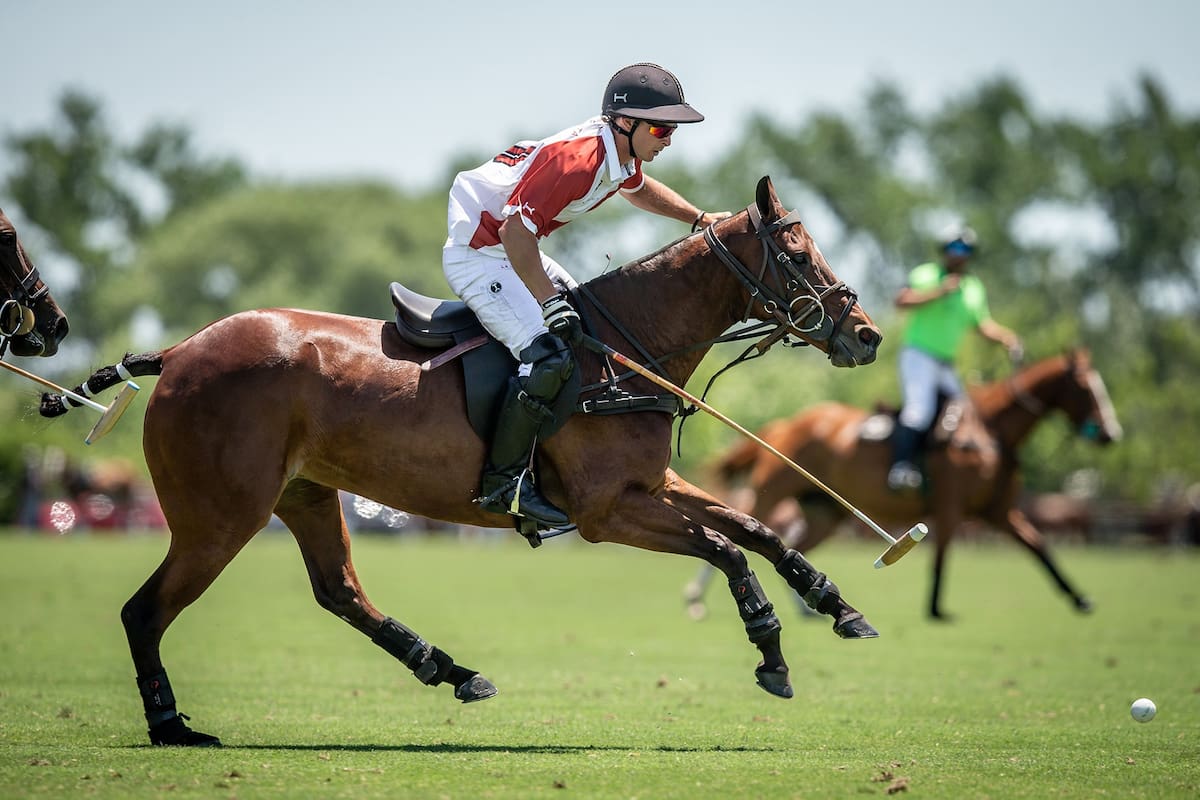 Martín Podestá a la carrera, en su primera Triple Corona; ya protagonizó los abiertos de Tortugas y Hurlingham, pero ahora viene su estreno en el plato fuerte: Palermo.