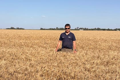 Martín Sánchez, productor de Monte Buey, Córdoba