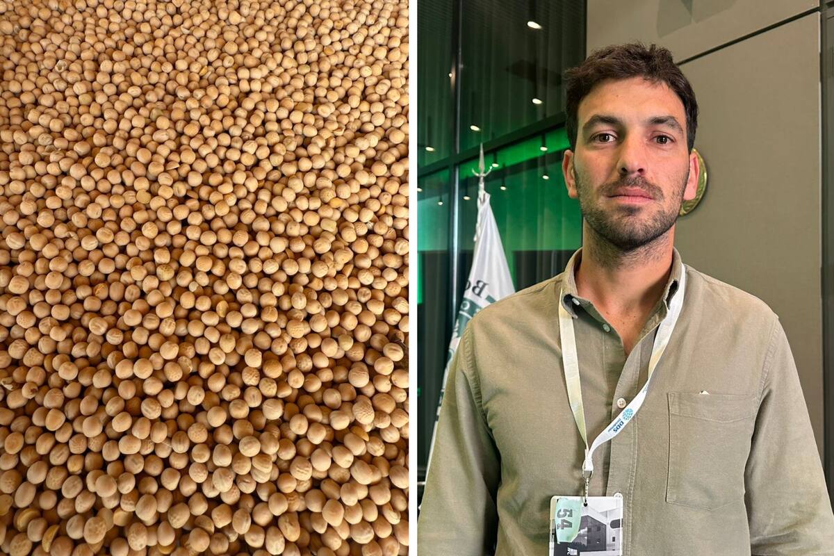 Martín Schon, director comercial de Elementa Foods, que ya exporta arveja amarilla a China