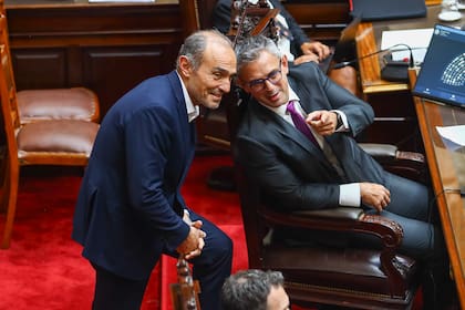 Martín y Eduardo "Lule" Menem, dos de los principales colaboradores de Karina Milei