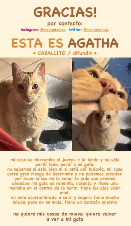 Martina inundó el barrio de Caballito de carteles