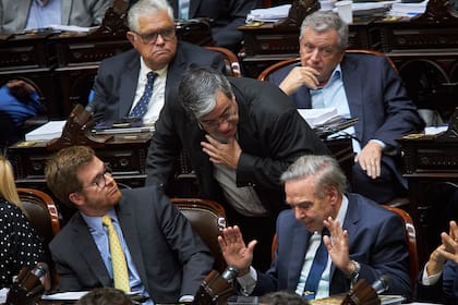 Martinez con Picheto ante la atenta escucha de Monzó y Massot durante la votación en particular del proyecto de ley Bases y puntos de partida para la libertad de los argentinos