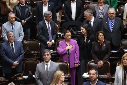 Martínez y Cecilia Moreau, Valdéz en el bloque de UxP. Apertura de la sesión en Diputados por Morosidad y Discapacidad. Congreso Nacional.