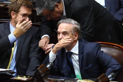 Martínez y Pichetto dialogan en el recinto de Diputados