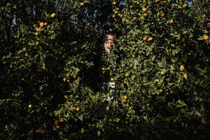 Stern saltó al estrellato en la década de 1990 por sus papeles en Mi pobre angelito y Amigos... siempre amigos. Pero tardó años en aceptar la fama como una expresión de amor de sus seguidores. (Mark Abramson/The New York Times)