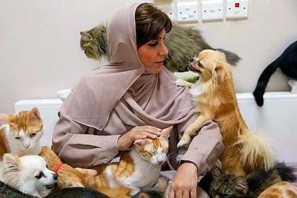 Maryam al-Balushi alimenta a sus amados gatos y perros en su casa de Mascate, la capital de Omán