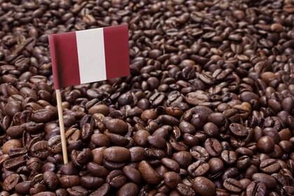 Más allá de Brasil y Colombia hay otros países con café de especialidad