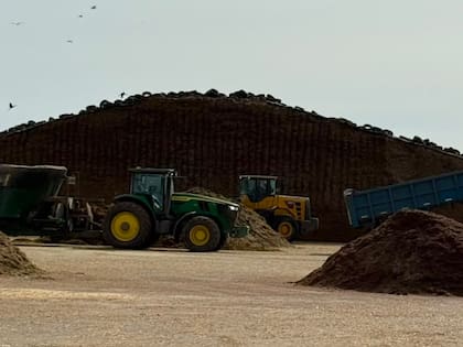 Más allá de las diferencias entre un rodeo lechero y uno destinado a la producción de carne, ambos comparten un mismo desafío: asegurar una oferta de alimento suficiente y de calidad para atravesar períodos donde las pasturas o los verdeos no alcanzan a cubrir los requerimientos animales