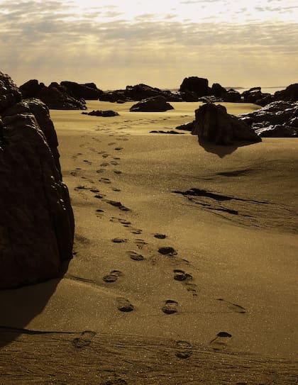 Más allá de las playas céntricas