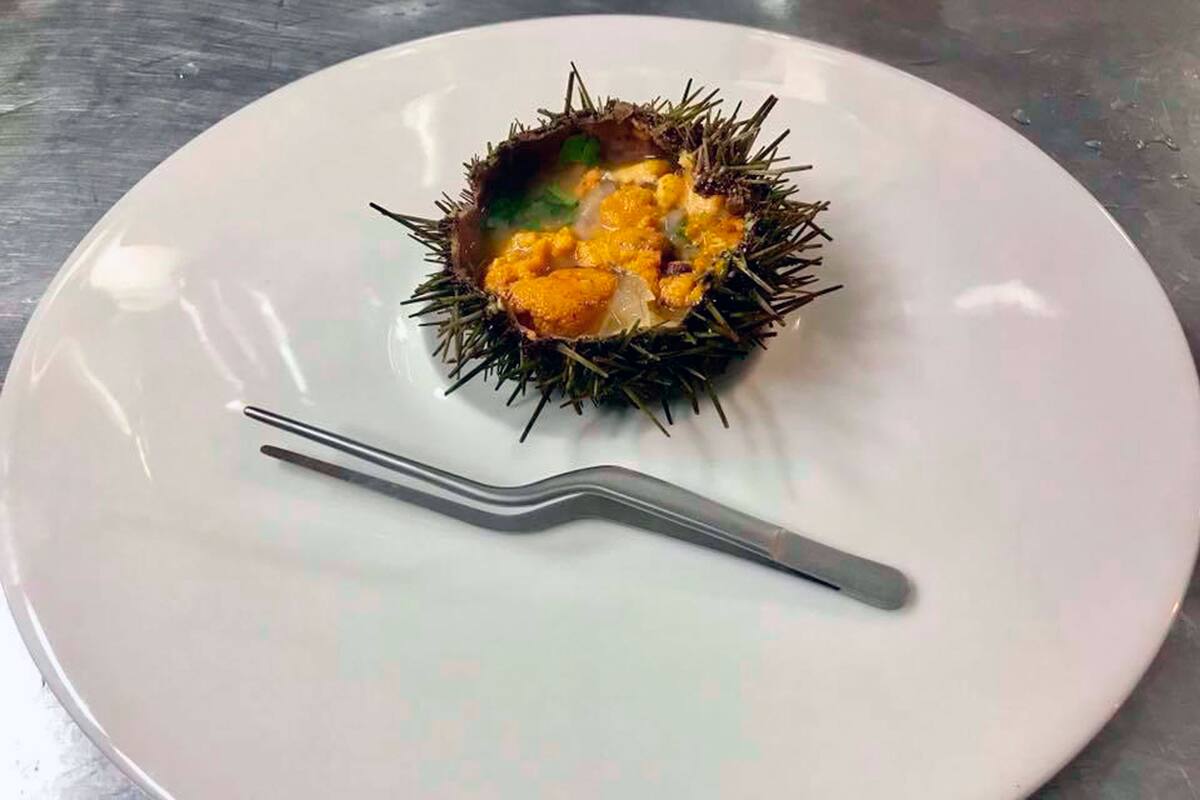 Más conocido como especie marina que puede lastimarte los pies que por ser un exquisito manjar de las profundidades, el erizo está siendo valorizado como recurso alimentario en todo el canal de Beagle.