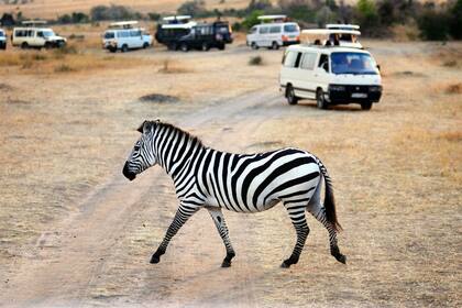 Más de 10.000 turistas por día perjudican la biodivercidad en el Masai Mara, en Kenya