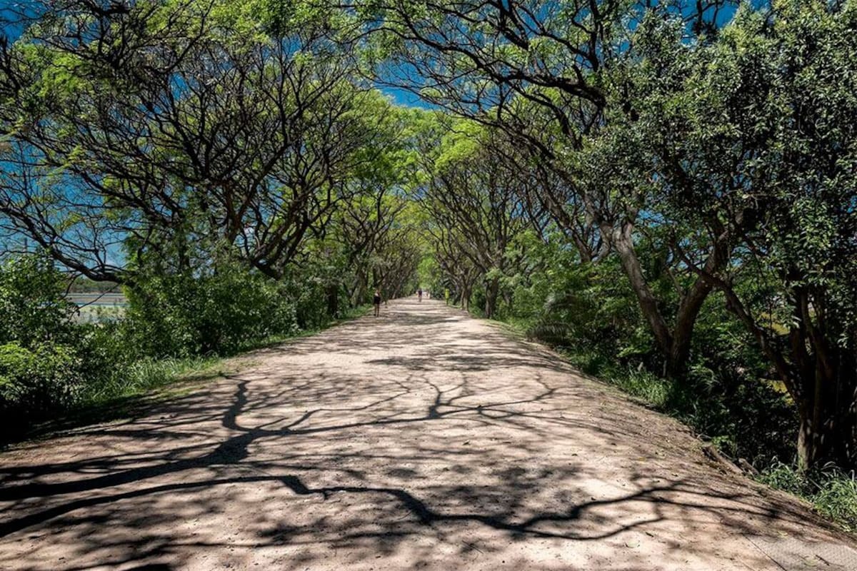 Más de 1.600.000 hectáreas de la provincia de Buenos Aires son Áreas Naturales Protegidas