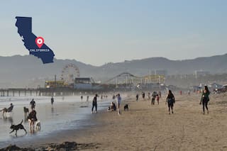 Con 22 millas de costa: la playa de Los Ángeles que podría convertirse en parque nacional en EE.UU.