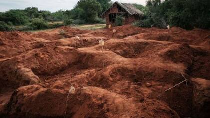 Más de 200 cuerpos han sido exhumados hasta ahora de fosas comunes en el bosque de Shakahola