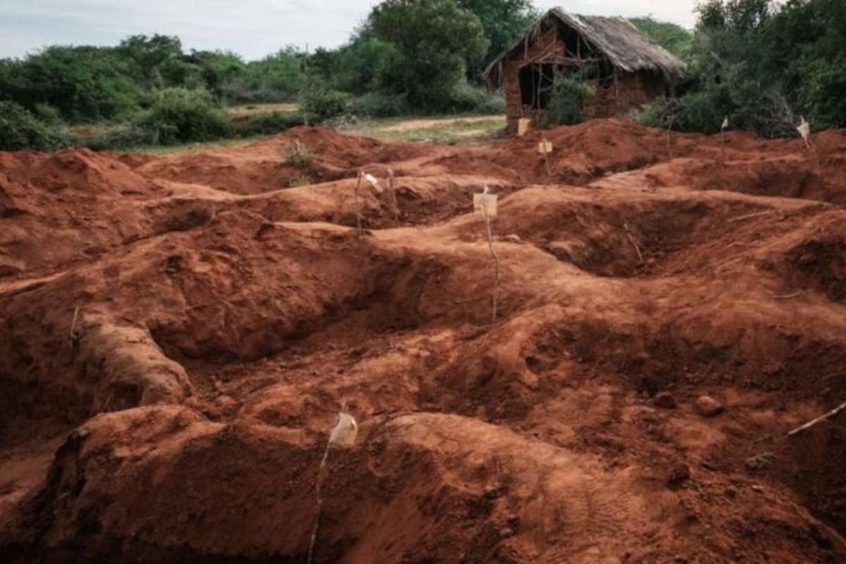Más de 200 cuerpos han sido exhumados hasta ahora de fosas comunes en el bosque de Shakahola.