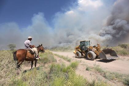 Más de 200 mil hectáreas se han quemado ya en General Alvear, provincia de Mendoza. Brigadistas de La Pampa y Córdoba se han unido a los de Mendoza, para poder hacerle frente al fuego. La situación no parece tener una inmediata solución, debido a las altas temperaturas y la velocidad de los vientos.
En la foto: El fuego cruza la ruta provincial 143.
Saturday_ 11_11_2017
Foto Marcelo Aguilar