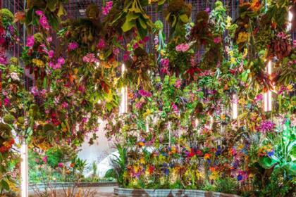 Más de 200 vendedores ofrecerán una amplia selección de plantas, decoraciones para jardines y productos artesanales inspirados en la botánica. Foto: visitphilly.