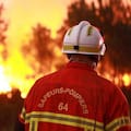 El climatólogo que alerta de la epidemia de eventos extremos y aún así es optimista
