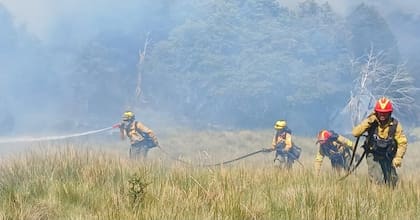 Más de 280 brigadistas trabajan para apagar el fuego en Lanín.