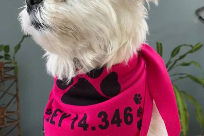 Más de 45.000 personas en el país ya tienen el pañuelo fucsia con el lema "No al maltrato animal".