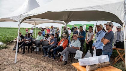 Más de 80 productores de 20 países visitaron el Bayer FowardFarming en la localidad de Pergamino