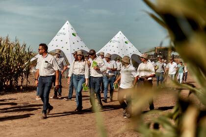 Más de 800 asistentes participaron de las jornadas en las distintas regiones templadas del país