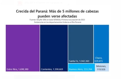 Más de cinco millones de cabezas quedaron afectadas por la crecida del río Paraná