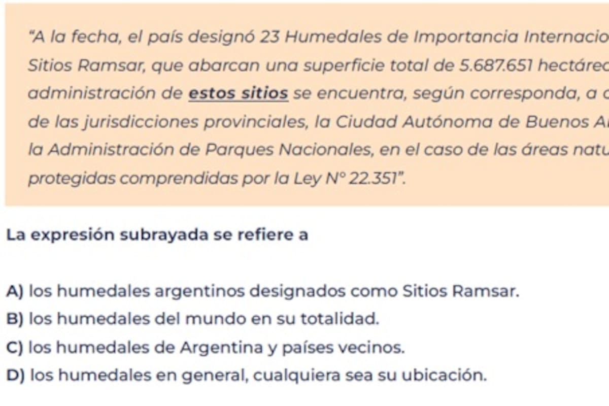 Más de la mitad de los estudiantes alcanzó un nivel satisfactorio en Lengua