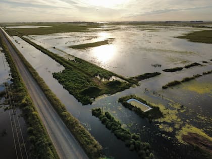 Más de la mitad del campo que trabaja en la región Jover junto a su marido está inundado