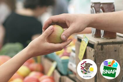 Más de un millón de personas en Illinois aprovechan este programa para comprar alimentos (Pexels/Erik Scheel)
