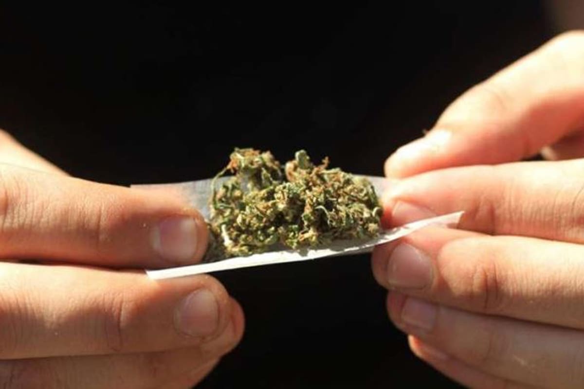 Más de un millón de personas fuman cannabis en forma mensual y, según las estadísticas, 268.259 presentan síntomas de abuso de esa sustancia psicoactiva
