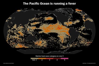 Más del 37% de los océanos del mundo están bajo alguna categoría de ola de calor marina