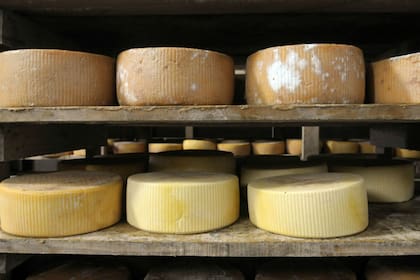 Más del 70% de las pymes que respondieron la encuesta tienen hasta 50 empleados