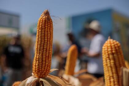 Más opciones para el cereal