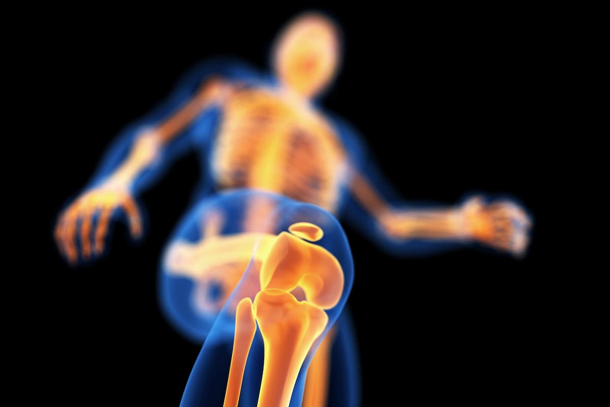 Más que adrenalina. Una hormona que segregan los huesos, necesaria para activar la respuesta de lucha o huida