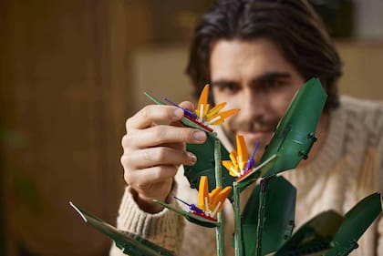Más que juguetes, los nuevos ladrillos se convirtieron en decoración para interiores
