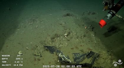 Más residuos plásticos en el cañón Mar del Plata