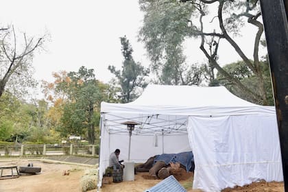 Más temprano, el director del Santuario de Elefantes de Brasil, Scott Blais había dicho que Pelusa estaba en la etapa final de su vida