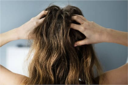 Masajear el cuero cabelludo puede ayudar a la salud del pelo
