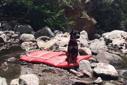 Nina apareció de repente en las sierras cordobesas y le cambió la vida a Aldana: fue amor a primera vista