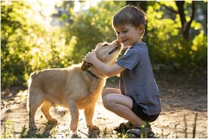 Mascotas: ¿cuáles son las recomendadas para niños menores de diez años?