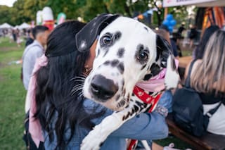 Desfiles de mascotas, yoga con cachorros y adopciones: todo sobre el festival gratuito para perros y gatos