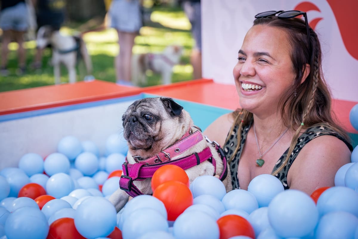 Mascotear se celebró este sábado 24 y domingo 25 de octubre