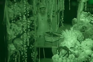 MasterChef Celebrity: gritos, miedo e insultos en la noche de beneficios