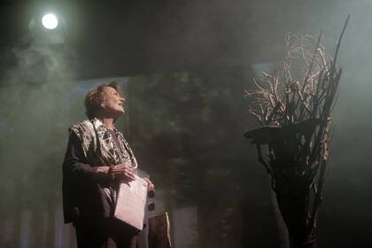 Marilú Marini dirige la versión escénica de la novela "Matate, amor"