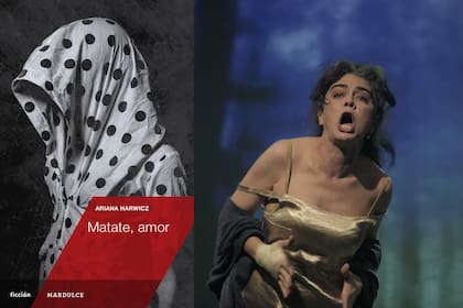"Matate, amor" (Mar Dulce, $11.000), la novela de Ariana Harwicz con Érica Rivas y dirección de Marilú Marini, se estrenó en teatro en 2018 y sigue en cartel en Dumont4040
