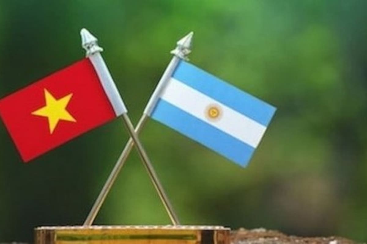 Mateo Schildknecht, analista de granos de la consultora AZ-Group, dijo que el principal destino del maíz argentino fue Vietnam, que compró 1,8 millones de toneladas