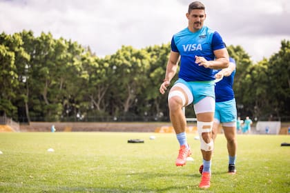 Matera y su visión sobre Michael Cheika, el colaborador motivador que llegó desde Australia