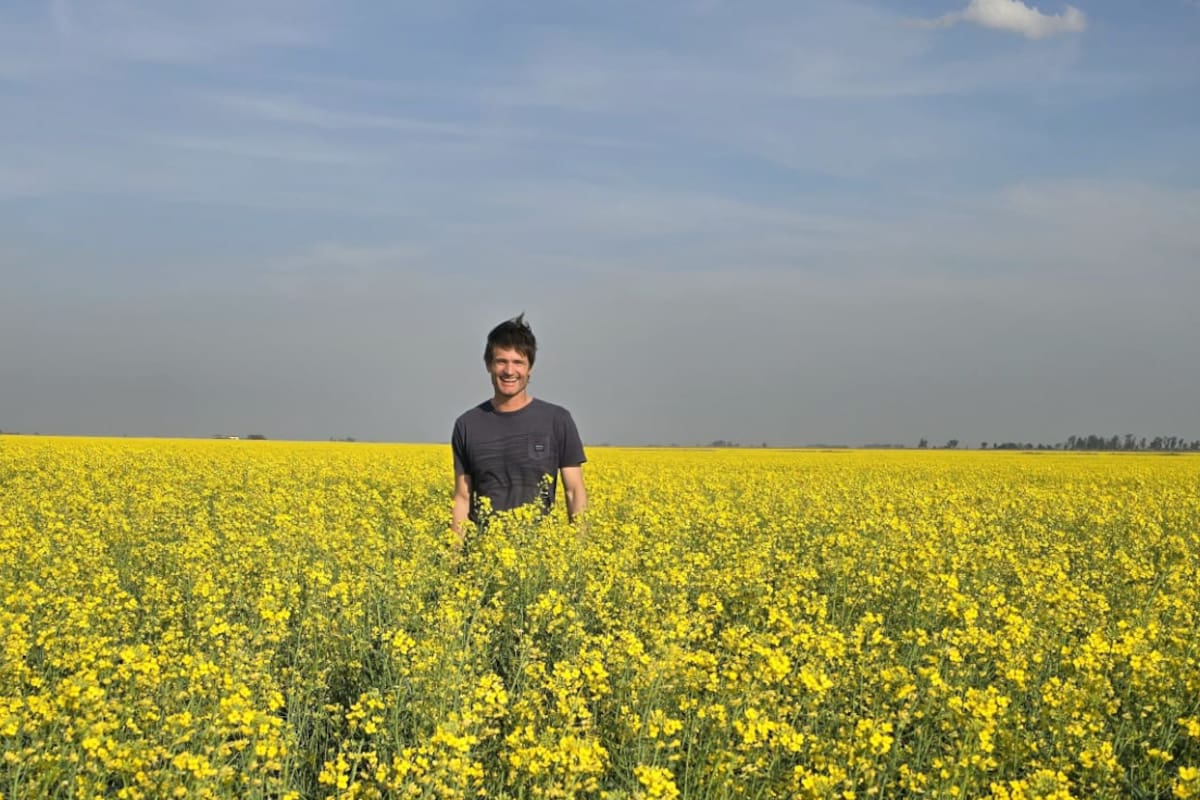 Matías Ayerza cultiva 3000 hectáreas de carinata en campos arrendados de Entre Ríos, desde Sauce de Luna al norte hasta Gualeguaychú al sur