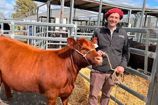 El buen momento para el negocio de las vacas destapó una ola de inversiones
